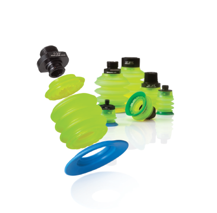 piGRIP®_GpiGRIP®P(pn)-ɁP(pn)Ɂհl(f)