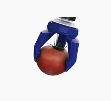 Ɂܛץ